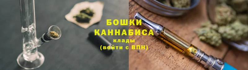 Бошки марихуана конопля  Богородск 